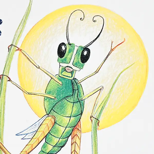 Meet Kai - A Courageous Grasshopper