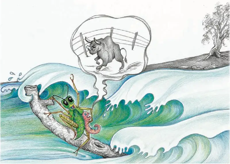 We can't just pull over and...